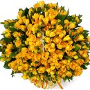 2017년 11월 1일 해병 제1217기의 상병진급을 축하드립니다 이미지