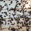 남앤욱카마스타 | 영탁 탁쇼4 서울앙코르콘서트 탁쇼 3일차 후기