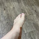 6월 마무리 기록