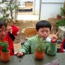 오즈의성어린이집 이미지