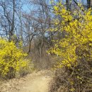 당곡고등학교 이미지