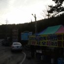 거제파인트리펜션 이미지