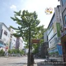 이브자리홈플러스대전