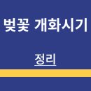 창원진달래유치원 | 벚꽃 | 개화 | 만개 | 시기 | 축제 일정 | 명당 자리 | 정리