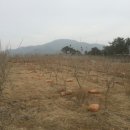 선산퇴비 이미지