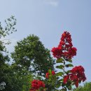 바우길 11구간 이미지