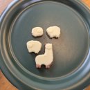 신이 | 대전 감성 카페 용운동 신이내린 오후 방문 솔직후기