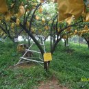 성제농장 이미지