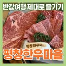 용인한우농장 | 평창 반값여행 맛집 추천｜평창한우마을 면온점 투쁠 한우 후기