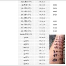 2016 서울국제마라톤 겸 제87회 동아마라톤대회 후기
