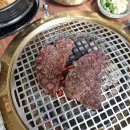 더금송 이미지