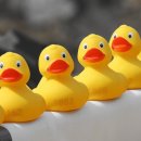 대구농업마이스터고등학교 수영장 이미지