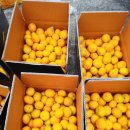 준이네농장 이미지