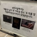 국내 전시회 추천 국립현대미술관 서울관 ‘론뮤익 전시’ 내돈내산 추천 후기(온라인 예매,전시 정보 등)