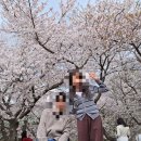 그라찌에순천향대피닉스 이미지