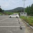 삼웅마을회관 이미지