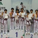 최강드림태권도 이미지