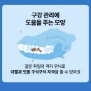 토리베이크 | 닥터 맘마 케어핏 오븐베이크 강아지사료 후기