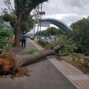 영흥면 면사무소 이미지