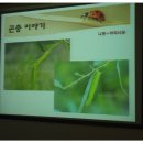 안수정 이미지