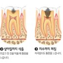 연세청천세브란스치과의원 이미지