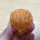 호디박스