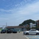 주차37 | 정동진 가볼만한곳 정동진 레일바이크 37개월 아기 동반 후기 + 주차팁