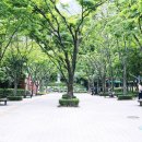 만남의폭포 매점 앞 네이버블로그