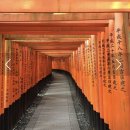 🚫공지취소🚫일본*오사카*와카야마온천*코오베* 쿄토*등3박4일 신나는여행 진행합니다^^ 이미지