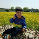 하중도길 이미지