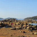 송진포항 이미지