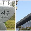 3년 단위 약사면허신고…결격사유엔 면허취소 이미지