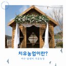 농업의 미래, 치유농업에 대해 알아봅시다.