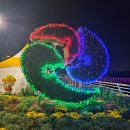프리드라이프창원 | 마산국화축제
