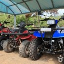 쌍류포도정원협동조합 이미지