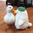 칸다소바 이미지