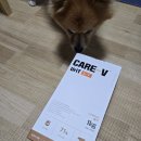 복덩이네 강아지 | 강아지 요로결석 사료