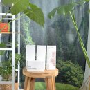 영세탁 | 올리브영 섬유탈취제 추천 일오오오 소프소프 멀티 룸스프레이 사용 후기