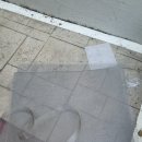 오조산로 45번길 이미지