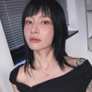 모니카 서울신문