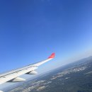 항공사 | [한국] 항공사별 후기 | 아시아나, 티웨이, 루프트한자, 핀에어, 브리티시 에어웨이