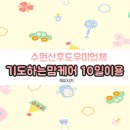 수원산후도우미업체 기도하는맘케어 10일이용 솔직후기