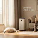 반려동물 털 제거 펫 전용 가전 공기청정기 실사용 후기 추천
