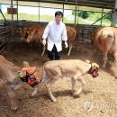 김재선농장 연합뉴스