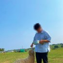 범서온천 자동차극장 이미지