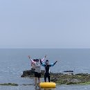 오도1리 이미지