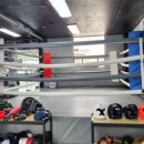 고릴라 복싱 이미지