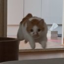 우리아울렛 이미지