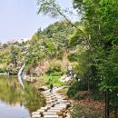 숲속 이미지