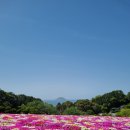 섬마을바다